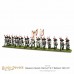 Napoleonic Spanish Infantry (2nd & 3rd Battalions)